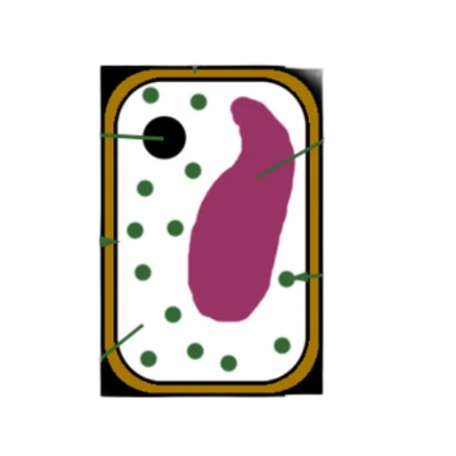 animal, food, jewelry, creature, concept art, pixel art, 3d render, cartoon transparent PNG cut-out