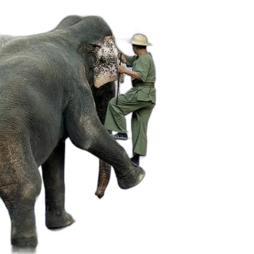 animal, creature, staff, concept art, 3d render, person, green, uniform transparent PNG cut-out