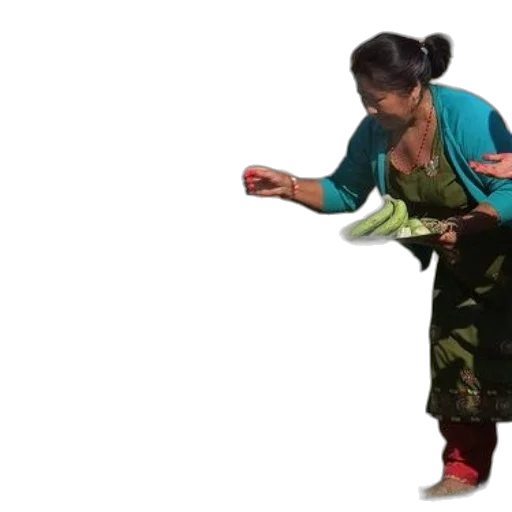 fire, forest, woman, traditional, attire, feeds, cows, outdoors transparent PNG cut-out