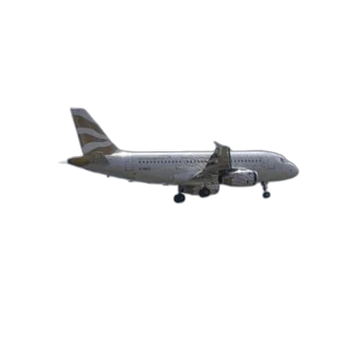animal, weapon, 3d render, photorealistic, white, airplane, gold, accents transparent PNG cut-out