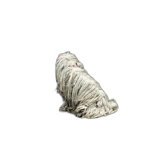 hair, animal, shoes, creature, photorealistic, 3d render, concept art, pencil sketch transparent PNG cut-out