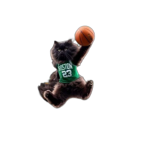 animal, humorous, digital, manipulation, shows, black, cat, basketball transparent PNG cut-out