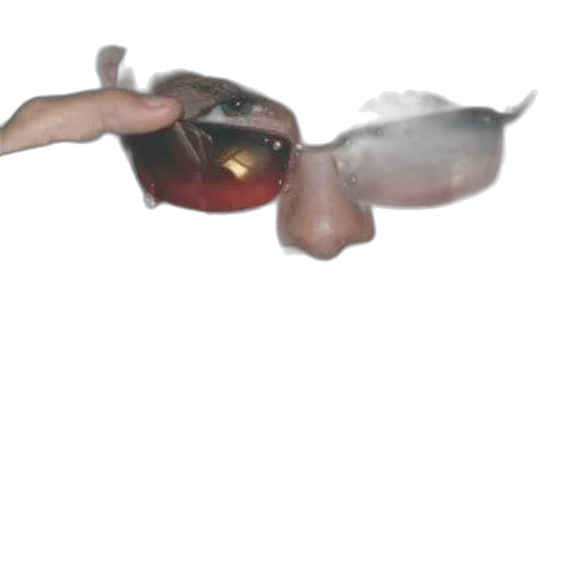 mask, dragon, face, weapon, 3d render, photorealistic, vaporwave, concept art transparent PNG cut-out