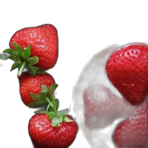 food, animal, face, photorealistic, 3d render, oil painting, concept art, close-up transparent PNG cut-out