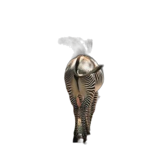shoes, animal, hat, weapon, concept art, 3d render, vaporwave, photorealistic transparent PNG cut-out