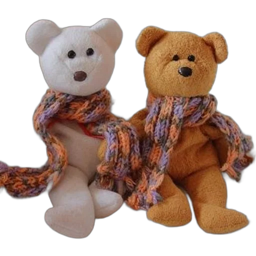 two, teddy, bears, one, white, brown, wearing, colorful transparent PNG cut-out