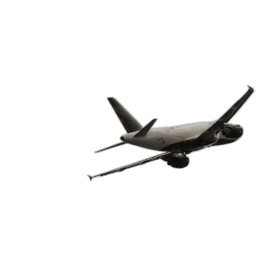 staff, weapon, animal, 3d render, photorealistic, concept art, black, white transparent PNG cut-out