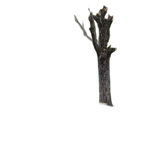 tree, staff, furniture, crown, 3d render, concept art, photorealistic, fantasy art transparent PNG cut-out