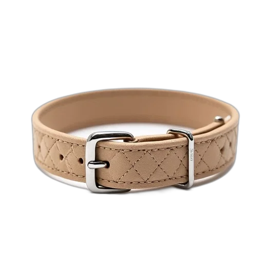 jewelry, beige, dog, collar, diamond, pattern, silver, buckle transparent PNG cut-out