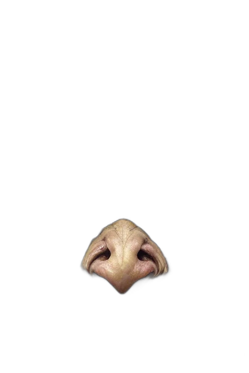 mask, face, animal, creature transparent PNG cut-out