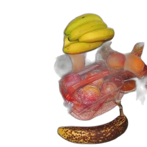 food, crown, hat, animal, concept art, 3d render, photorealistic, variety transparent PNG cut-out