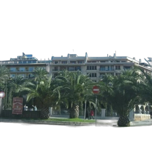 building, photorealistic, 3d render, city street, street, scene, palm, trees transparent PNG cut-out