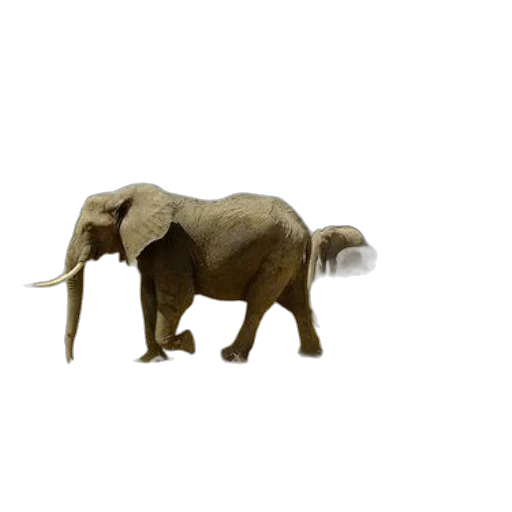 animal, creature, staff, hat, 3d render, concept art, photorealistic, pixel art transparent PNG cut-out