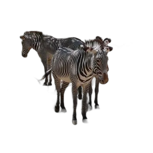animal, furniture, creature, jewelry, 3d render, photorealistic, concept art, fantasy art transparent PNG cut-out