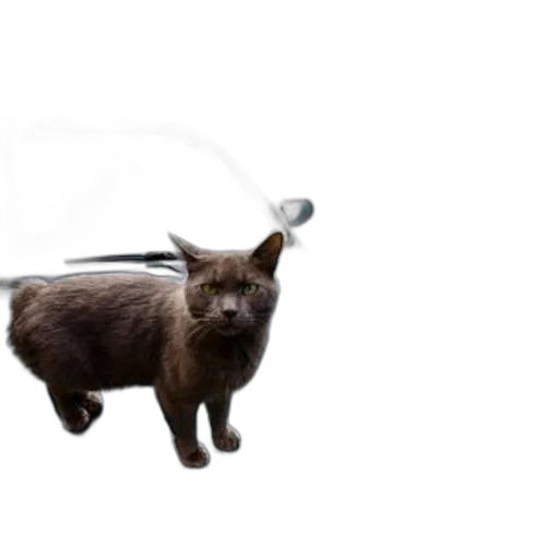 staff, animal, weapon, sword, photorealistic, concept art, 3d render, gray transparent PNG cut-out