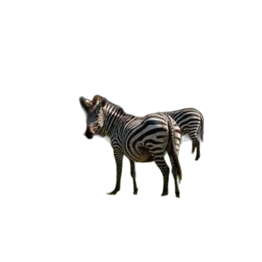 animal, creature, furniture, jewelry, 3d render, concept art, photorealistic, pixel art transparent PNG cut-out