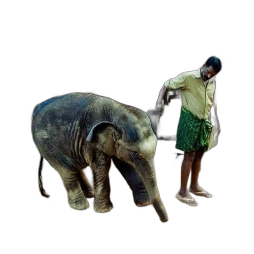 animal, staff, creature, umbrella, concept art, photorealistic, oil painting, 3d render transparent PNG cut-out