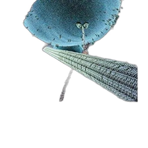 umbrella, hat, crown, staff, 3d render, photorealistic, blue, rendering transparent PNG cut-out