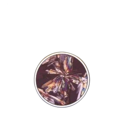 jewelry, crown, hair, jacket, vaporwave, photorealistic, concept art, watercolor transparent PNG cut-out