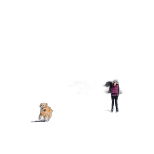 animal, creature, umbrella, robot, pixel art, concept art, anime, 3d render transparent PNG cut-out