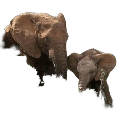 animal, creature, staff, weapon, photorealistic, concept art, 3d render, two transparent PNG cut-out