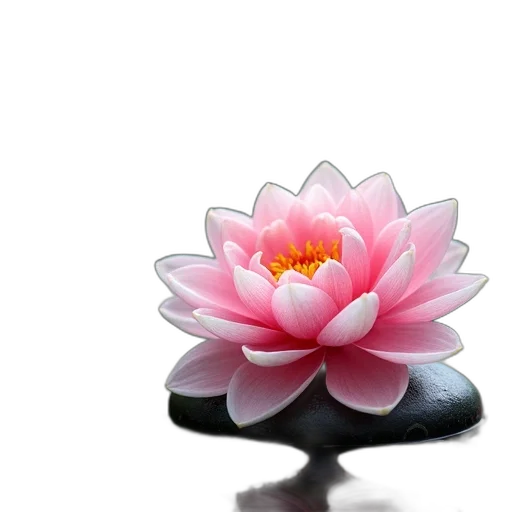 flower, jewelry, crown, staff, photorealistic, 3d render, oil painting, serene transparent PNG cut-out