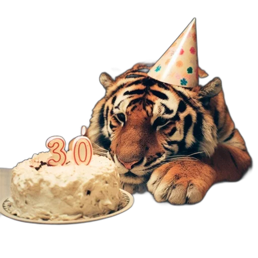 food, 3d render, photorealistic, majestic, tiger, celebrates, 30th, birthday transparent PNG cut-out