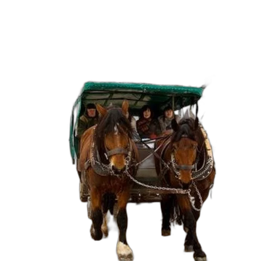 car, furniture, animal, photorealistic, 3d render, horse-drawn, carriage, passengers transparent PNG cut-out