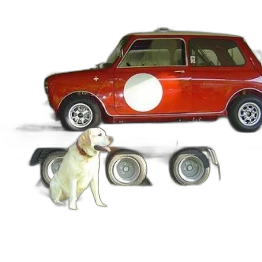 car, animal, 3d render, photorealistic, concept art, dog, sits, front transparent PNG cut-out