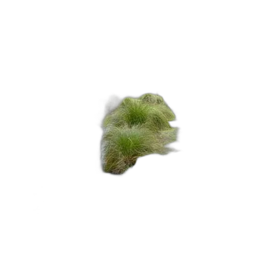 hair, tree, creature, animal, 3d render, photorealistic, pixel art, fantasy art transparent PNG cut-out