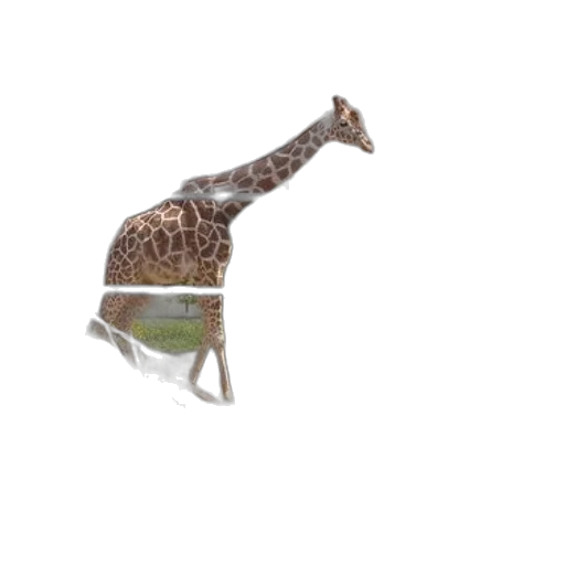 animal, creature, hat, crown, 3d render, concept art, pixel art, photorealistic transparent PNG cut-out