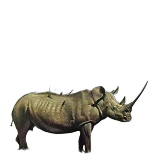 animal, creature, dragon, weapon, concept art, 3d render, photorealistic, fantasy art transparent PNG cut-out