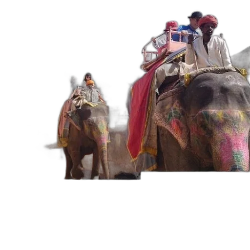animal, car, photorealistic, red, group, people, ride, elephants transparent PNG cut-out