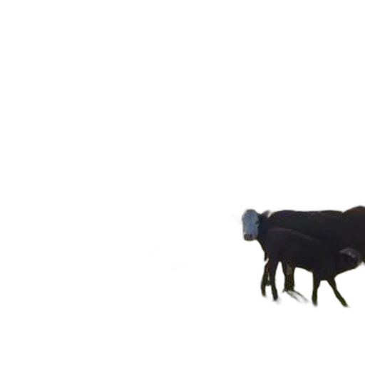 animal, creature, food, robot, 3d render, concept art, pixel art, photorealistic transparent PNG cut-out