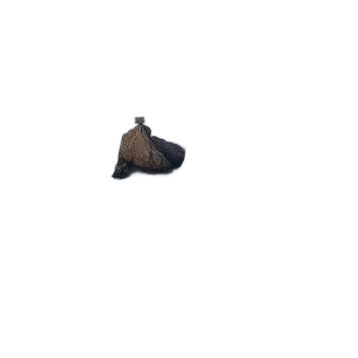 shoes, hat, animal, staff transparent PNG cut-out