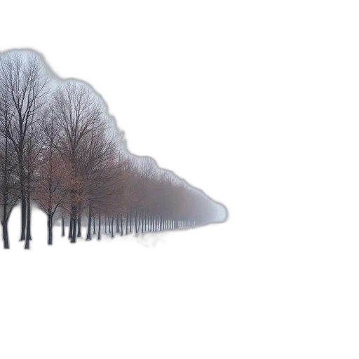 tree, hat, umbrella, face, photorealistic, 3d render, concept art, fantasy art transparent PNG cut-out