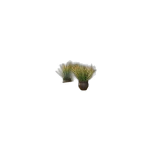flower, hair, tree, crown, 3d render, photorealistic, pixel art, concept art transparent PNG cut-out
