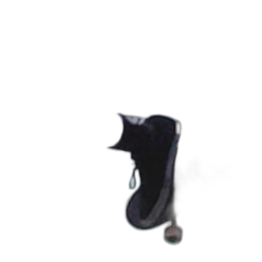 shoes, weapon, hat, staff transparent PNG cut-out