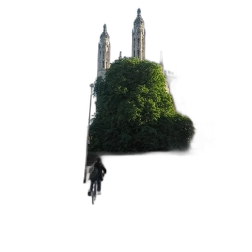 tree, umbrella, hair, crown, photorealistic, concept art, 3d render, fantasy art transparent PNG cut-out