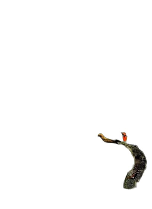 animal, dragon, creature, staff transparent PNG cut-out