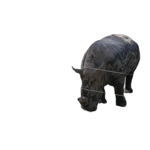 animal, creature, weapon, face, 3d render, photorealistic, concept art, rhino transparent PNG cut-out