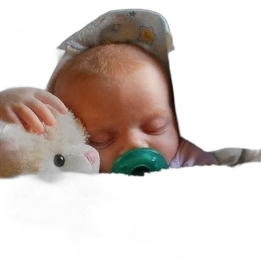 creature, animal, staff, photorealistic, 3d render, baby, sleeping, stuffed transparent PNG cut-out