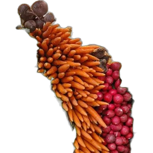 hair, food, jewelry, staff, photorealistic, concept art, 3d render, colorful transparent PNG cut-out