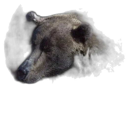 animal, mask, creature, face, photorealistic, watercolor, fantasy art, concept art transparent PNG cut-out