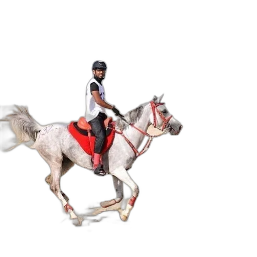 animal, dragon, creature, 3d render, photorealistic, concept art, pixel art, man transparent PNG cut-out