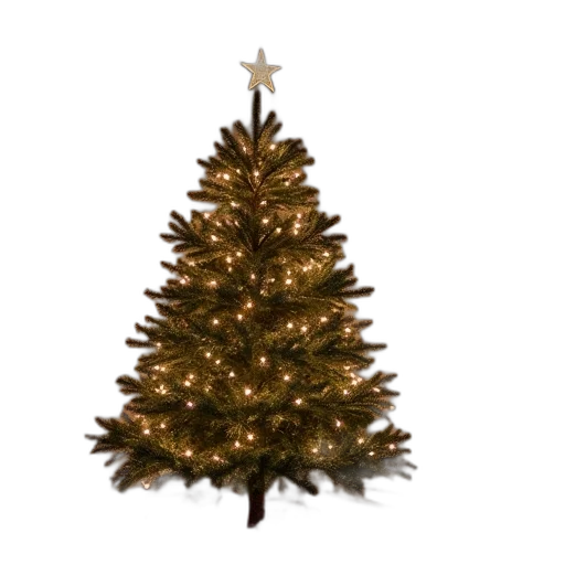 tree, crown, 3d render, artificial transparent PNG cut-out