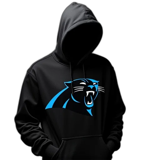 jacket, men, black, carolina, panthers, hooded, hoodie, panther transparent PNG cut-out