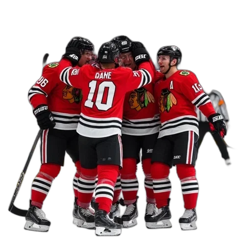 blackhawks, players, celebrate, goal transparent PNG cut-out