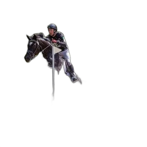 staff, sword, animal, weapon, pixel art, concept art, fantasy art, photorealistic transparent PNG cut-out