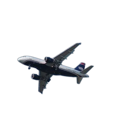 animal, staff, car, 3d render, photorealistic, white, blue, airplane transparent PNG cut-out